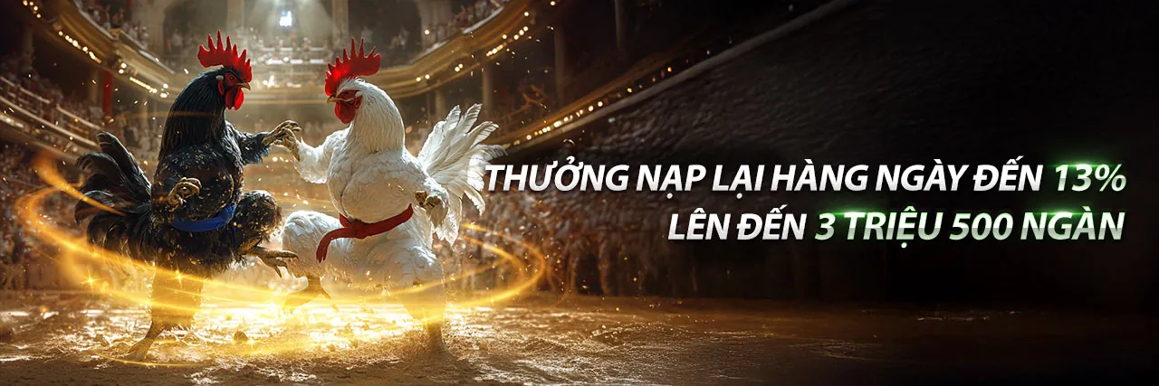 Đá gà trực tuyến kịch tính tại SC88 Info